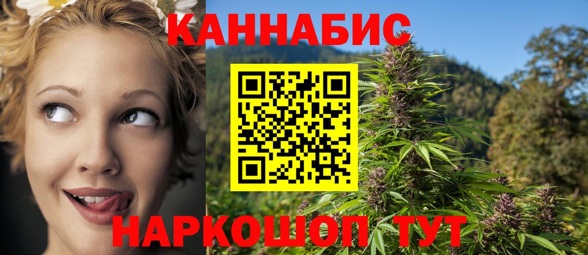 Конопля гибрид Белореченск
